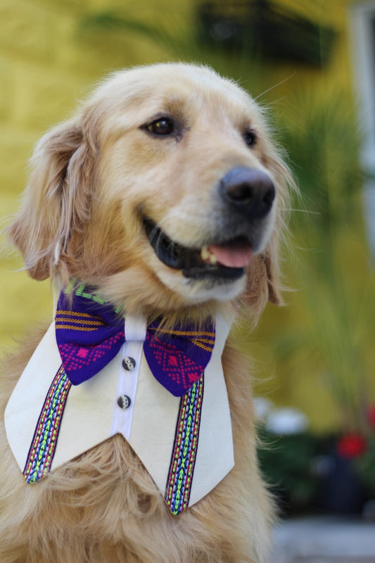 Regal Fiesta Bow Tie