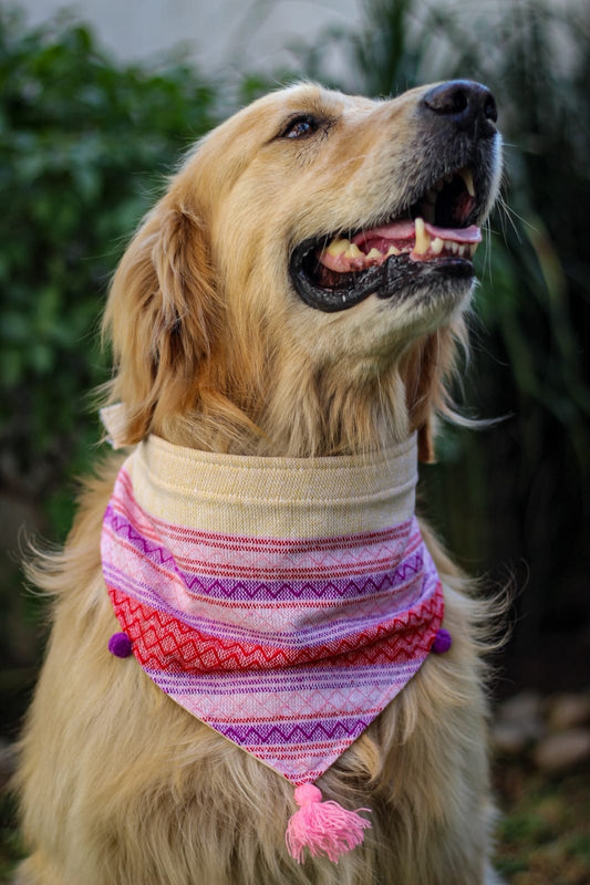 Sunset Bandana