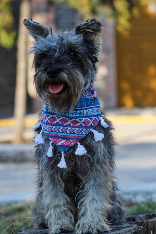 Aztec Wanderer Bandana