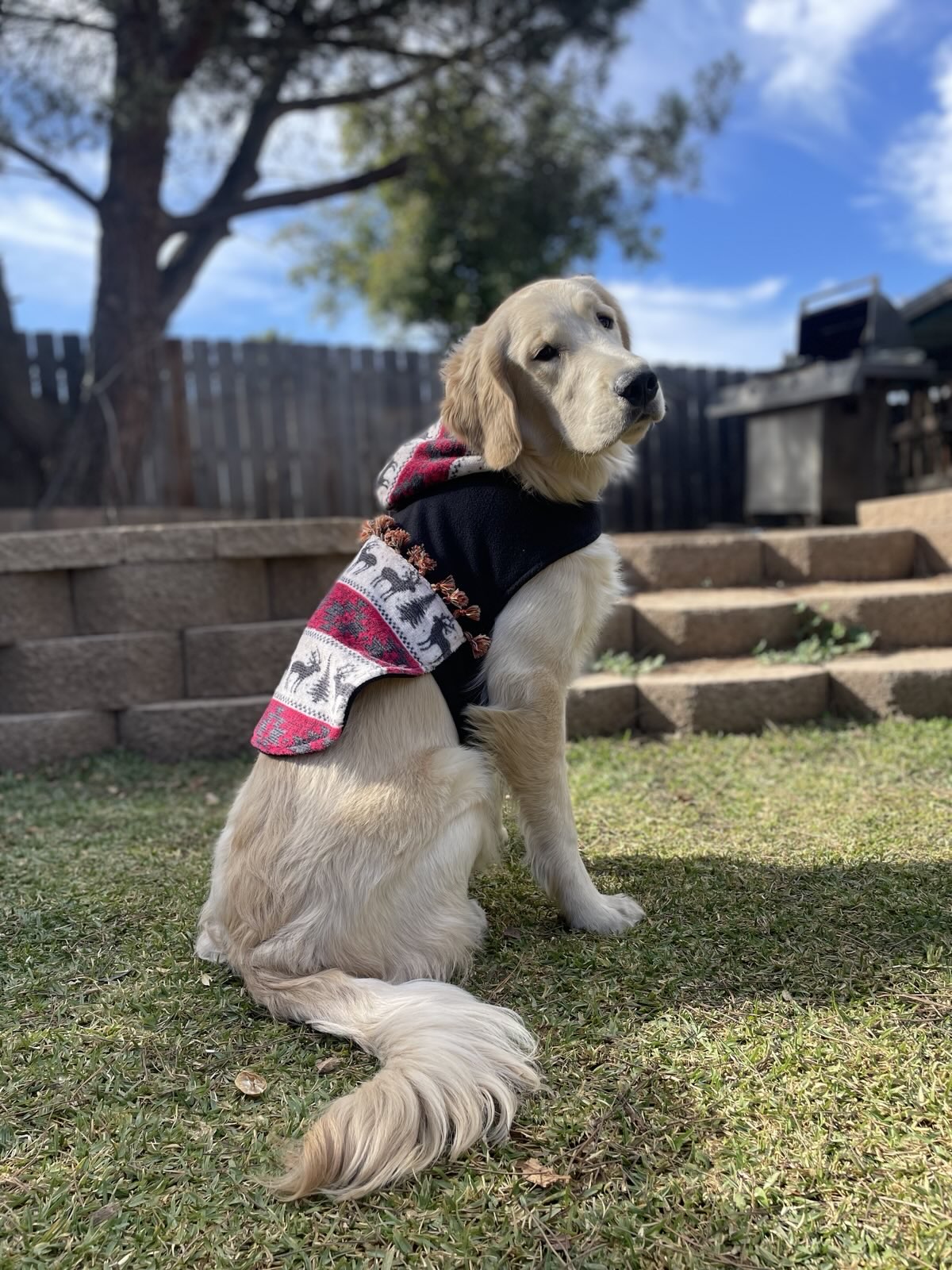 Cozy Reindeer Jacket