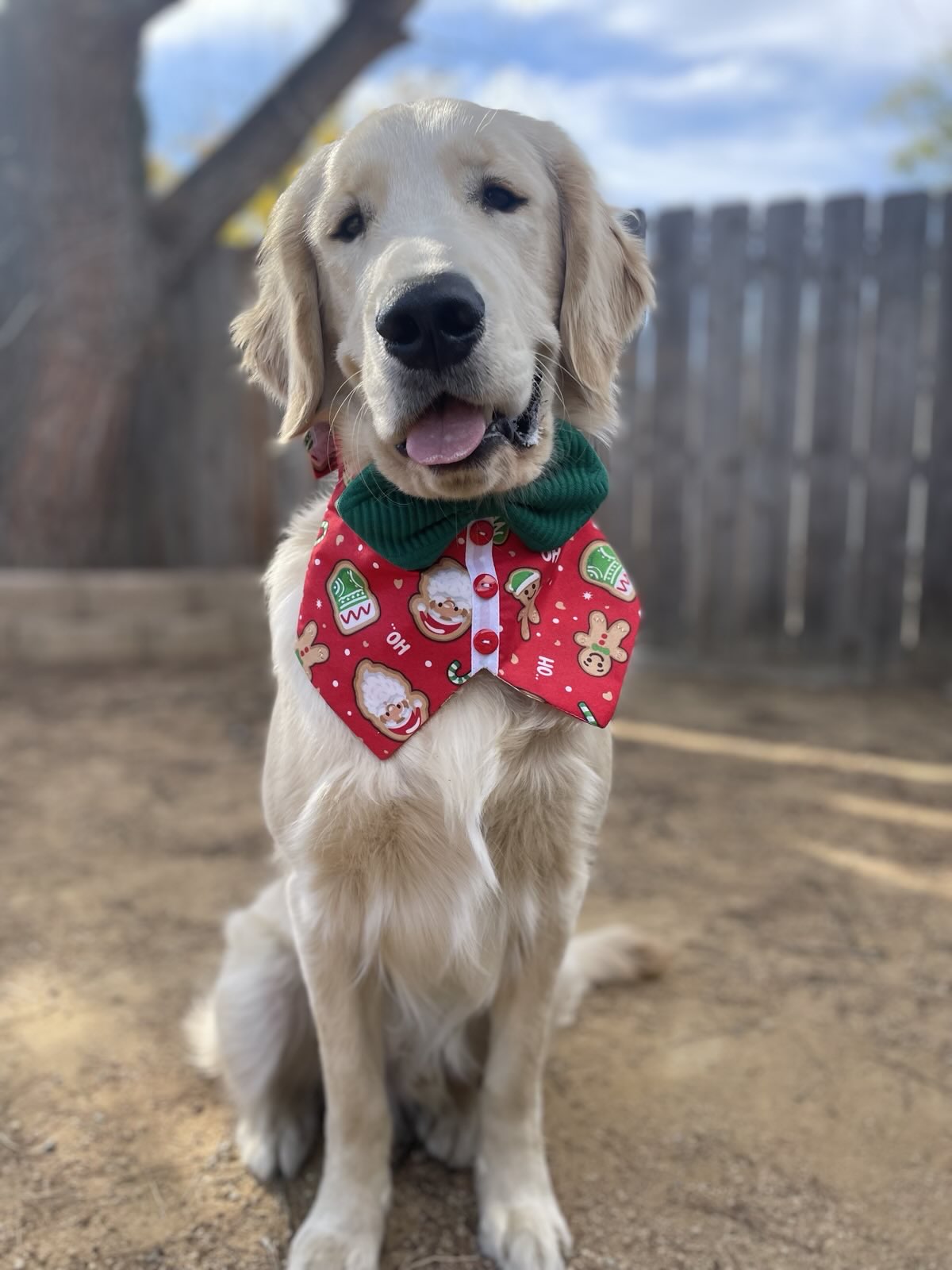 Festive Gingerbread Bowtie