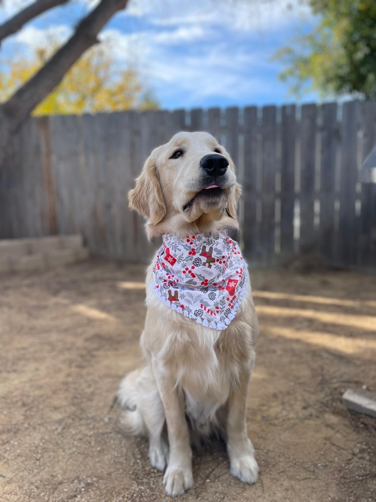 Frosty Cheer Bandana