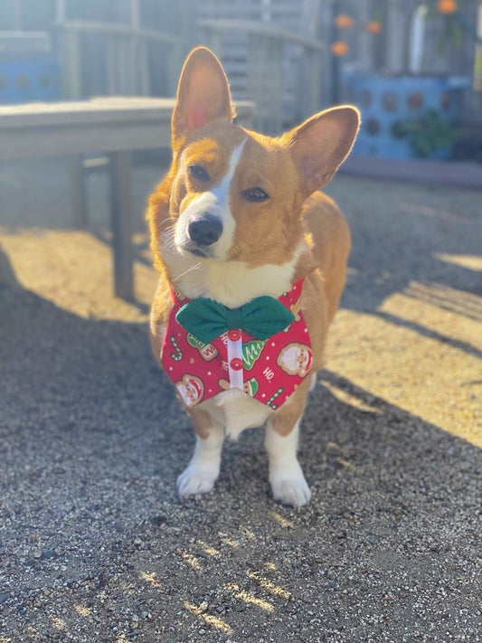 Festive Gingerbread Bowtie