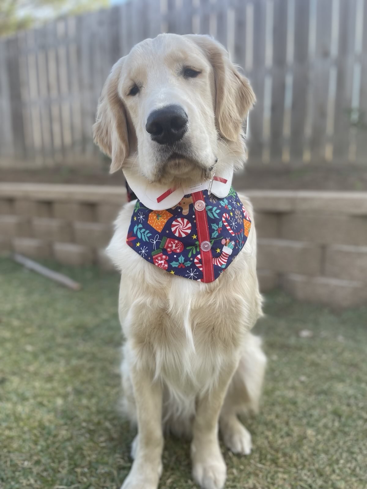 Winter Wonderland Bowtie